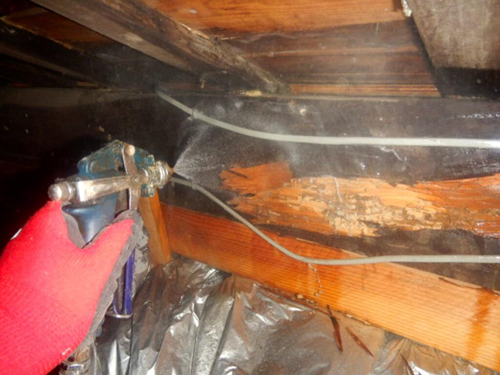 天井裏のシロアリ駆除薬剤散布写真